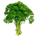 Fresca rama de perejil orgánico, ingrediente natural y saludable para cocinar, en fondo blanco, ideal para huerto bio y agricultura ecológica en casa.