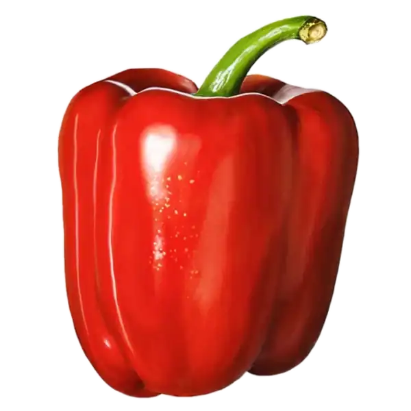 Pimiento: imagen 1