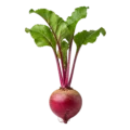Raíz de remolacha con hojas verdes, cultivo ecológico, saludable, vegano, orgánico, hortaliza, alimentación saludable, agricultura sostenible, huerto ecológico.