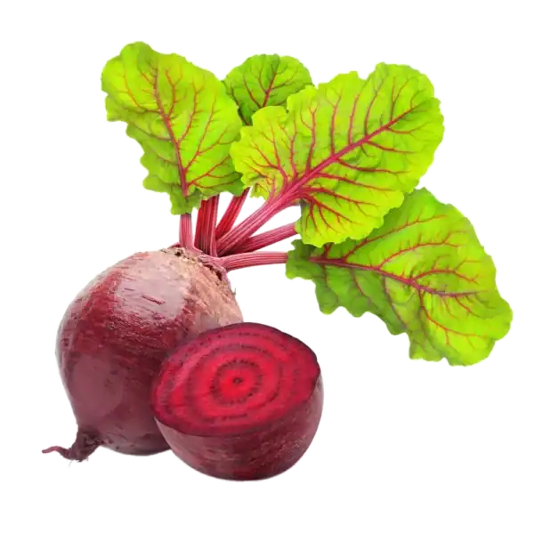 Remolacha roja: imagen 2