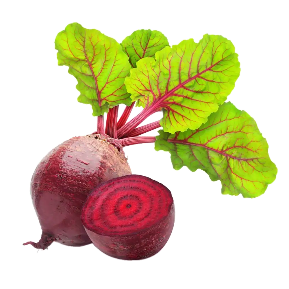 Remolacha roja: imagen 2