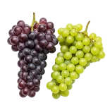 Grapo vonía, ilustración botánica de uvas verdes y hojas con detalles de la vid y estructura de la planta.