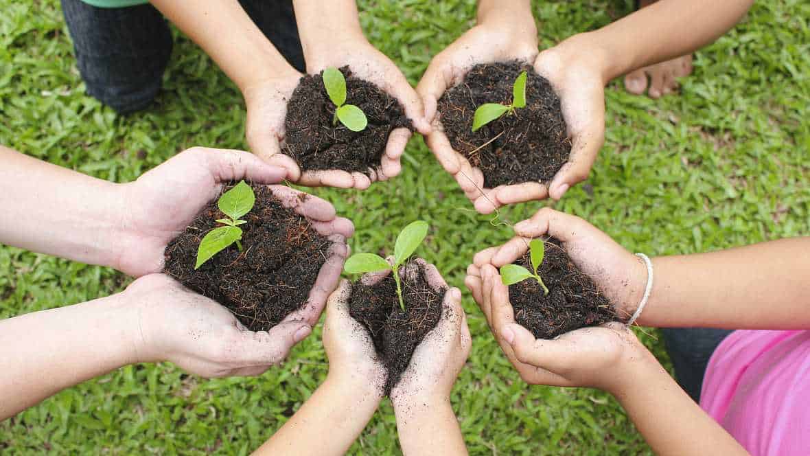Semillas de plantas jóvenes en manos, cultivo ecológico, huerto orgánico, sembrando en la tierra, agricultura sustentable, vida verde, huerto.bio, cuidado del medioambiente.