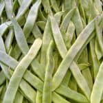 FileName: judias-verdes-organicas-huerto-bio.jpg.