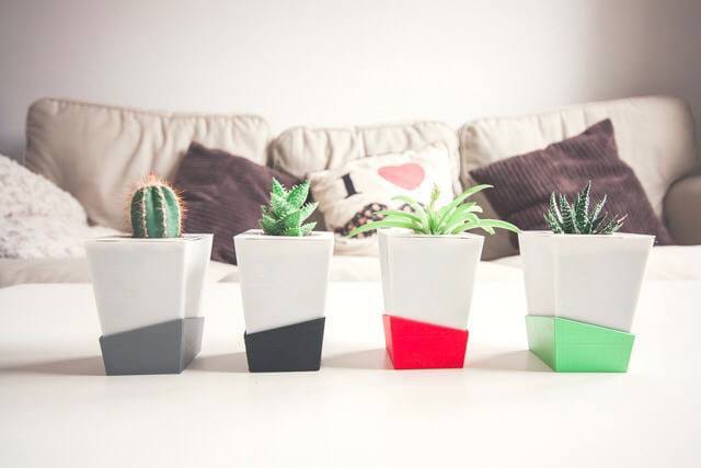 Cactus y plantas suculentas en macetas decorativas blancas sobre mesa en interiores.