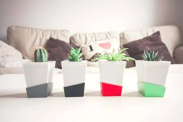 Kivi: la maceta inteligente 2017… Un proyecto de Kibu Green