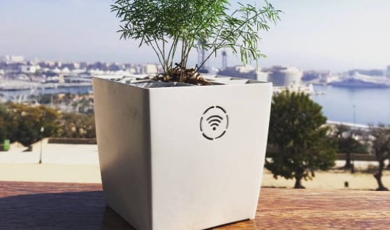 Maceta inteligente con sensor de riego para huertos urbanos y jardinería sostenible, ideal para cultivar plantas saludables y ecológicas en espacios reducidos.