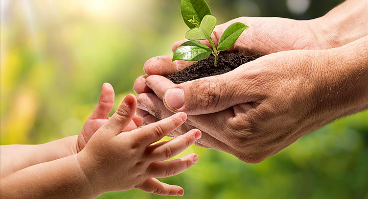 Mano adulta entregando una planta joven en tierra a un niño pequeño, simbolizando cuidado y agricultura ecológica.