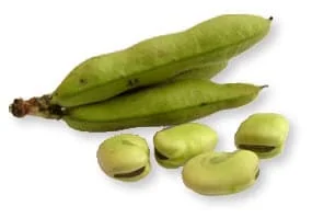 Berenjenas ecológicas frescas cultivadas en huerto bio, ideales para recetas saludables y sostenibles.