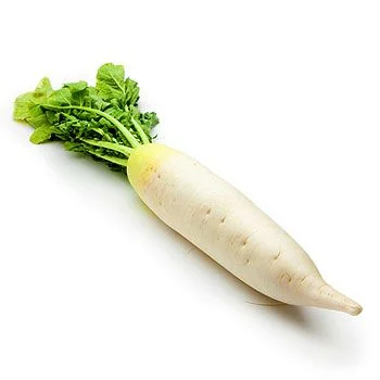 FICHA_IMAGE.png.