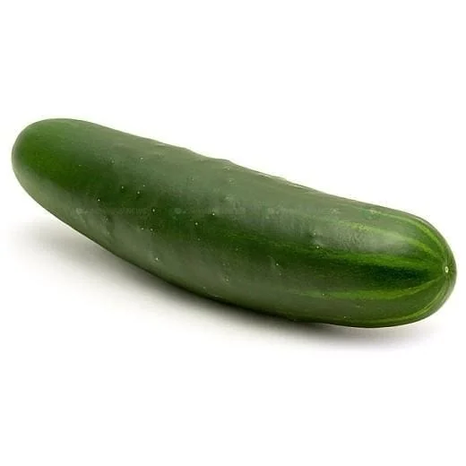 Rodaja de pepino fresco y ecológico proveniente de huerto orgánico, ideal para ensaladas y recetas saludables. Cultivado de forma natural sin pesticidas ni agroquímicos en huertos bio.