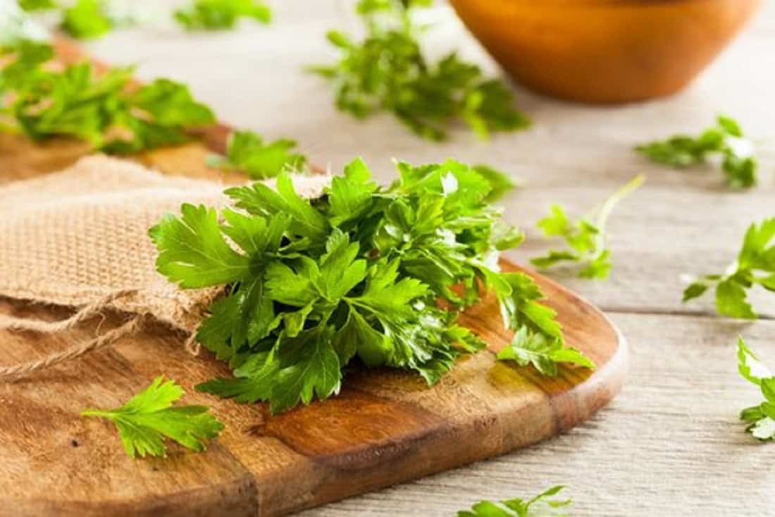 Perejil: 7 propiedades beneficiosas para nuestro cuerpo