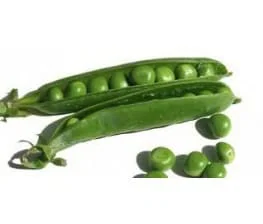 Verduras ecológicas de huerto orgánico, guisantes y pepinos frescos, ideales para una alimentación saludable y sostenible. Productos naturales de agricultura ecológica.