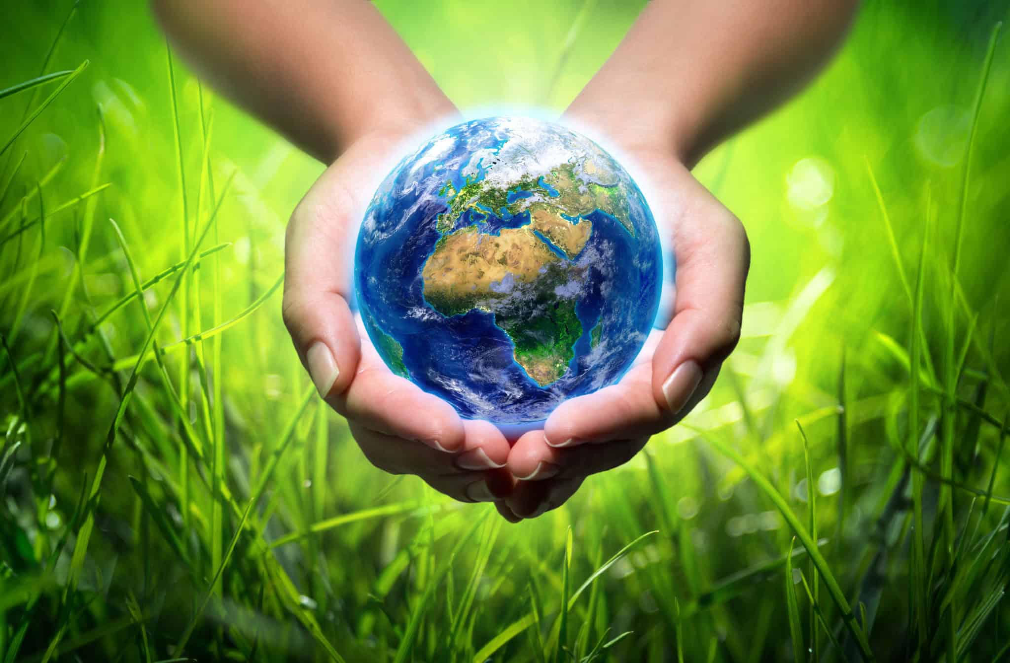 Unas manos sosteniendo la Tierra sobre un fondo de césped y naturaleza, simbolizando la protección del medio ambiente y la sostenibilidad ecológica en agricultura orgánica.