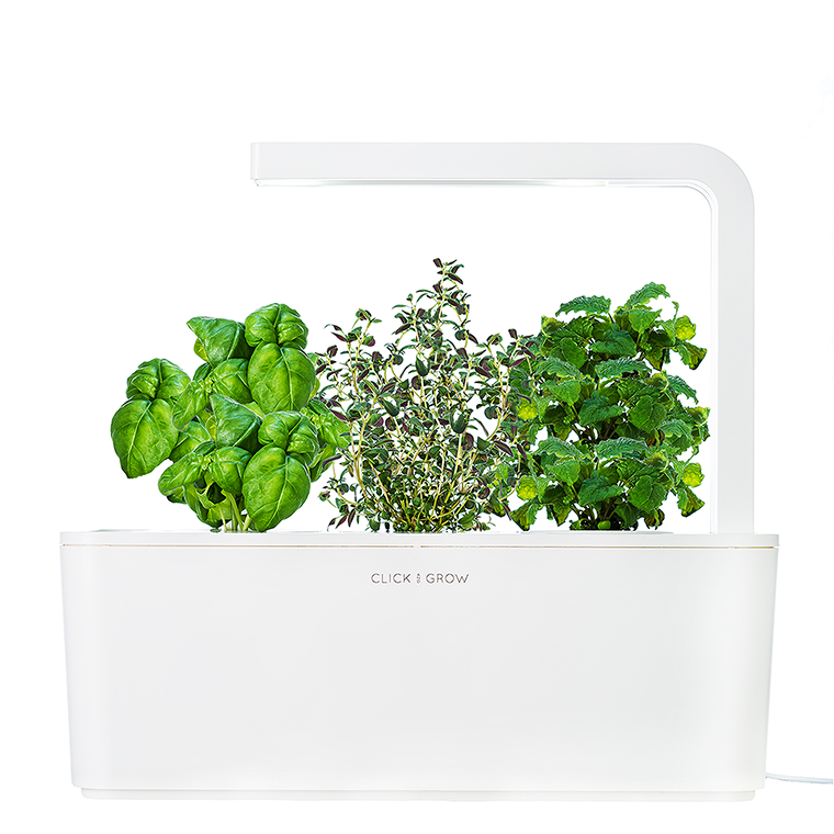 Cultivo de hierbas aromáticas en huerto urbano con sistema de iluminación LED en huerto.bio.