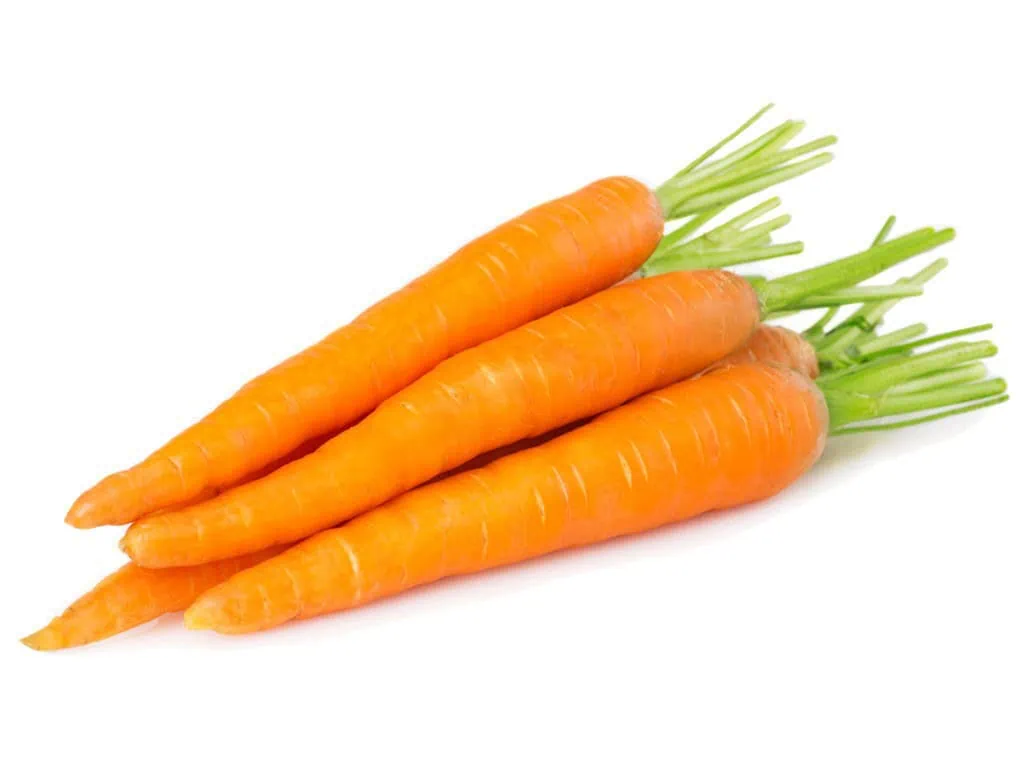 Zanahorias ecológicas frescas sobre fondo blanco, producto de agricultura orgánica, saludables y nutritivas, ideal para una alimentación saludable y natural.