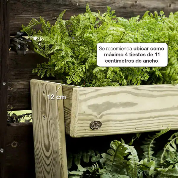 Macetero de madera para huerto urbano con lechugas frescas en crecimiento. Recomendado para plantaciones de máximo 4 tiestos de 11 cm de ancho, ideal para espacios pequeños y cultivo ecológico.