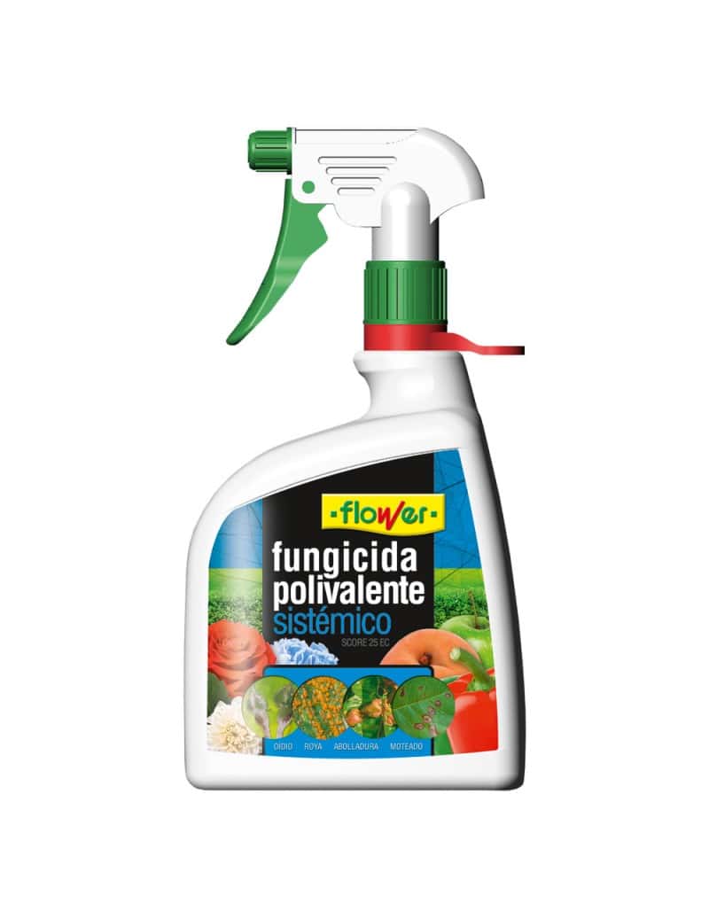 Fichero-77ad862f-4626-4f4d-b2bf-633f649c4e61.jpg.