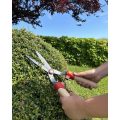 Corta con tijeras de jardín en un arbusto de seto en un jardín cuidado y verde con cielo despejado y árboles en el fondo.