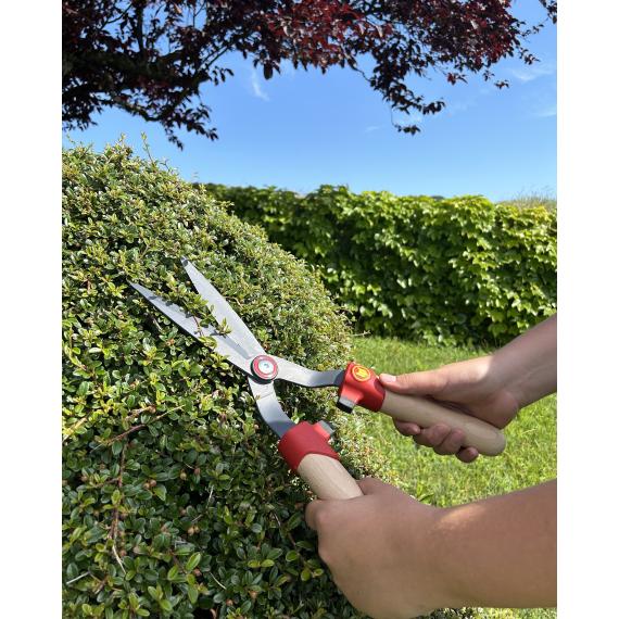 Corta con tijeras de jardín en un arbusto de seto en un jardín cuidado y verde con cielo despejado y árboles en el fondo.