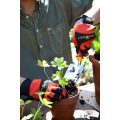 Plantación de berenjena orgánica en maceta con herramientas de jardinería, cultivo ecológico y agricultura sostenible en huerto.bio.