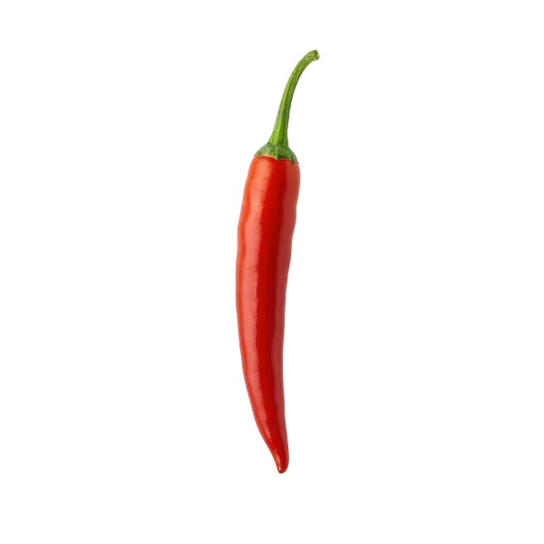 Pimiento rojo fresco sobre fondo blanco, ideal para cocina saludable, agricultura orgánica y huertos urbanos.