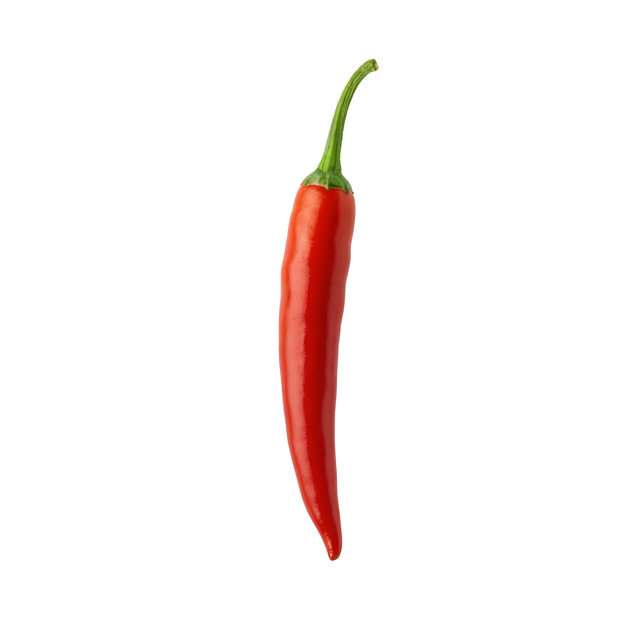 Pimiento rojo fresco sobre fondo blanco, ideal para cocina saludable, agricultura orgánica y huertos urbanos.