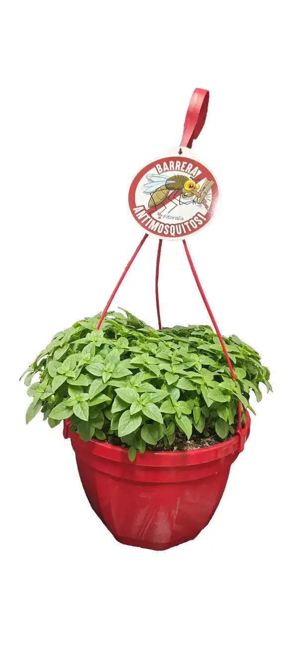Llavero antimosquitos con planta de albahaca en maceta roja, ideal para repeler mosquitos y disfrutar del verano sin molestias.