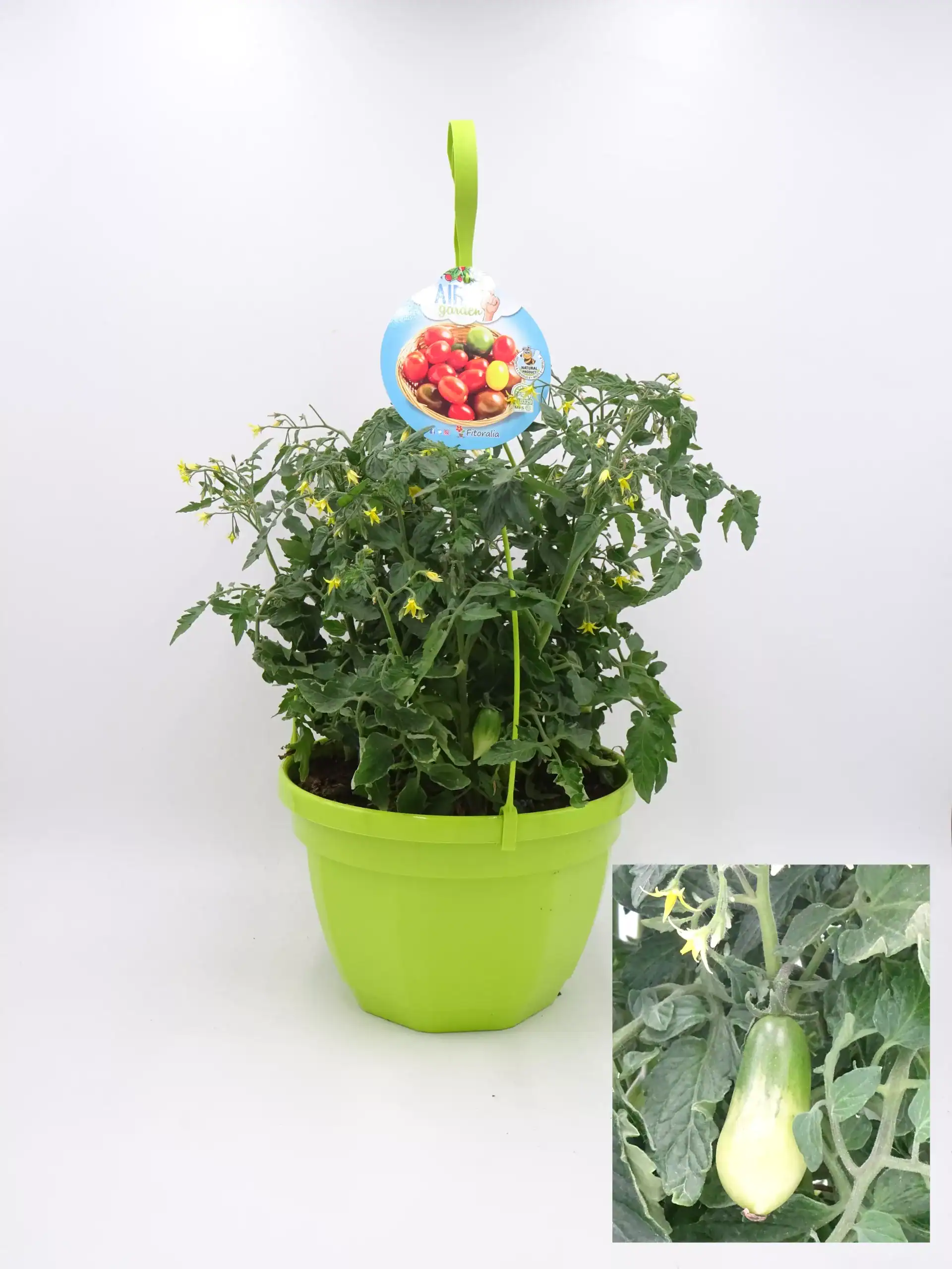 Tomate: imagen 133