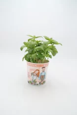 Hierba aromática albahaca en maceta decorativa con ilustraciones de agricultores, ideal para cultivo casero y cocina saludable, en el contexto de huerto ecológico y agricultura sostenible.