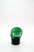 Verde que crece en maceta, vegetal de hoja ancha, en un fondo blanco, producto natural, ideal para huerto urbano, sustentabilidad y cultivo ecológico.