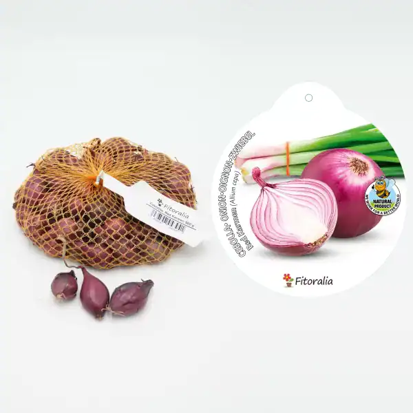 Cebolla roja ecológica en malla, producto de huerto ecológico, saludable y natural.