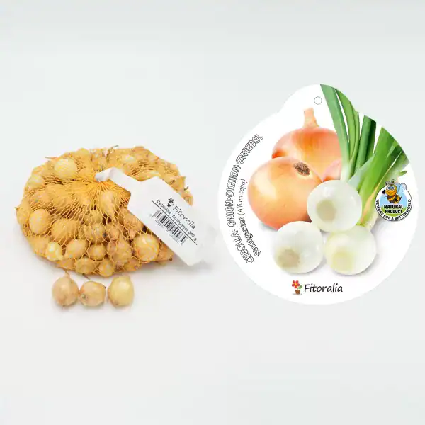 Cebollas orgánicas de cultivo ecológico, sueltas y en red de malla, ideales para cocinar y ensaladas en una alimentación saludable y natural.