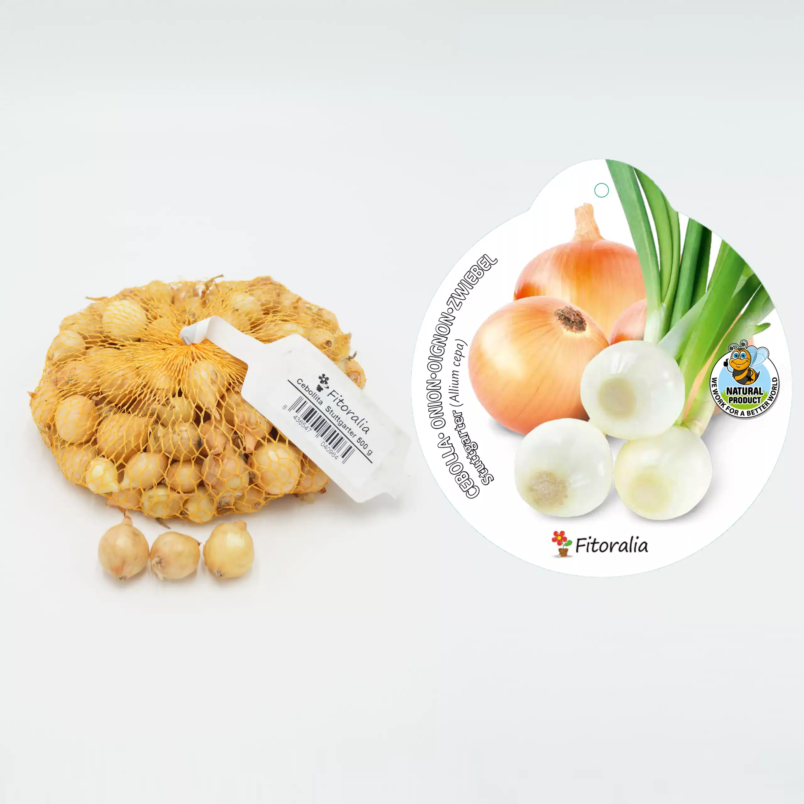 Cebollas orgánicas de cultivo ecológico, sueltas y en red de malla, ideales para cocinar y ensaladas en una alimentación saludable y natural.