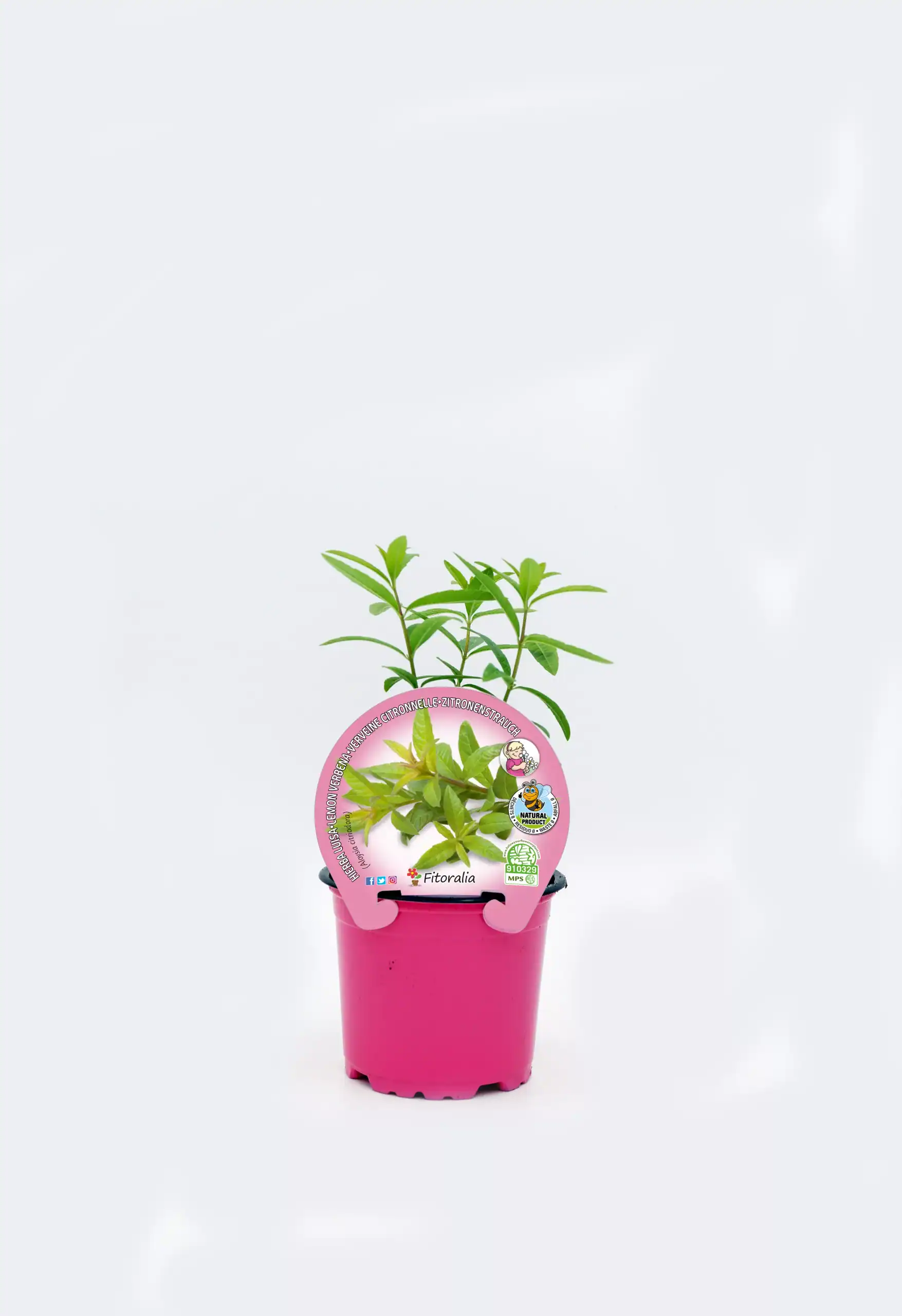 Jardín de plantas aromáticas ecológicas en maceta rosa, ideal para huertos urbanos y cultivo orgánico, promoción de agricultura sostenible y vida saludable.