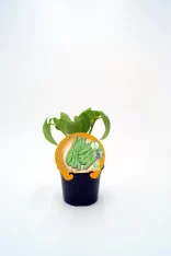 Verdolaga ecológica en maceta, cultivo orgánico y saludable, ideal para huertos caseros, producción sostenible y alimentación natural, promoción del consumo de alimentos bio, huerto.bio.