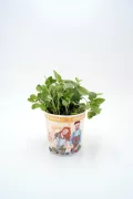 Hierba oregano en maceta con ilustración de cultivo en el envase.