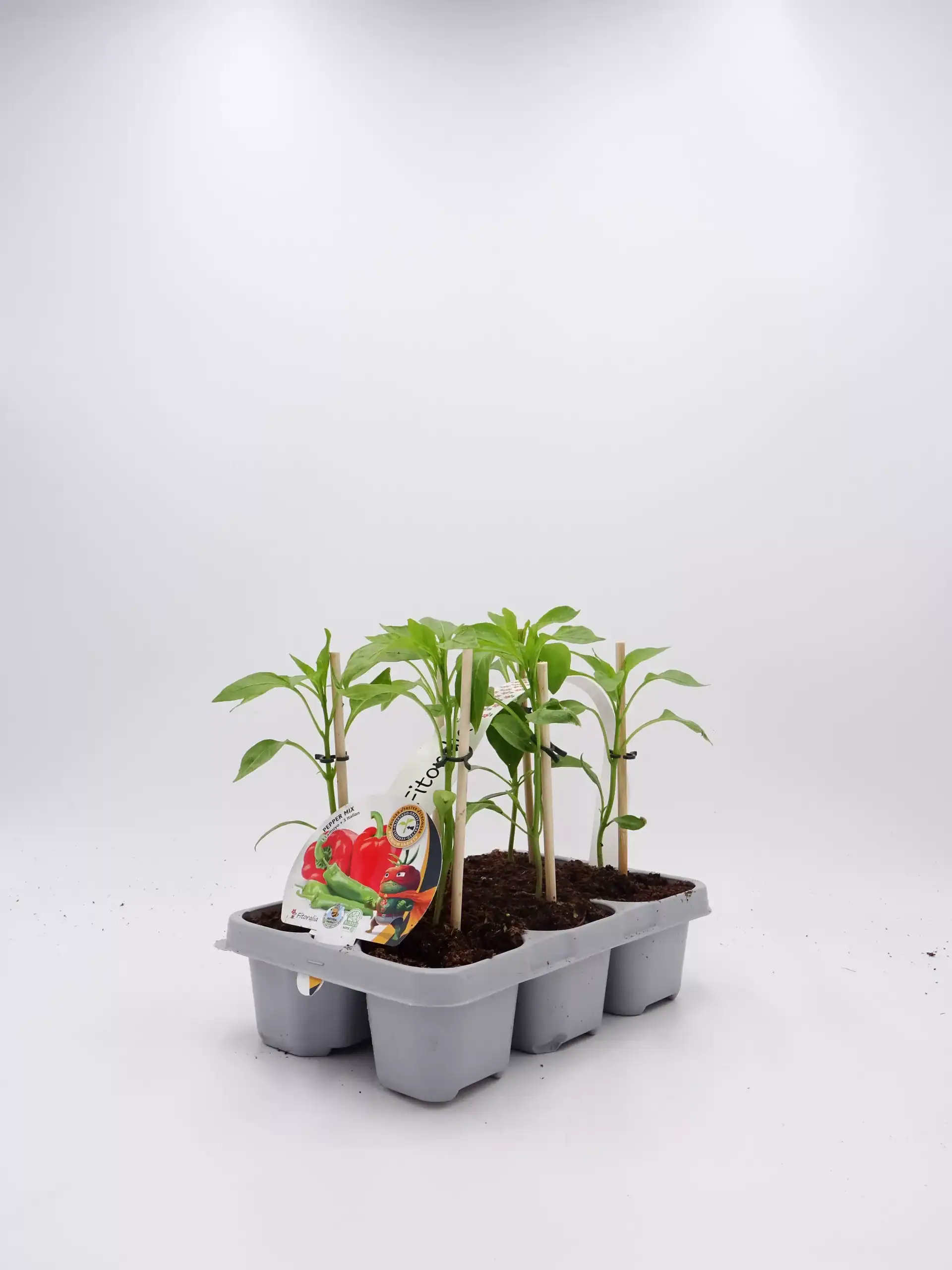 Juísantes plantas de pimientos ecológicos en bandeja de cultivo, ideales para huerto sostenible y agricultura orgánica, cultivo de hortalizas saludables y naturales.