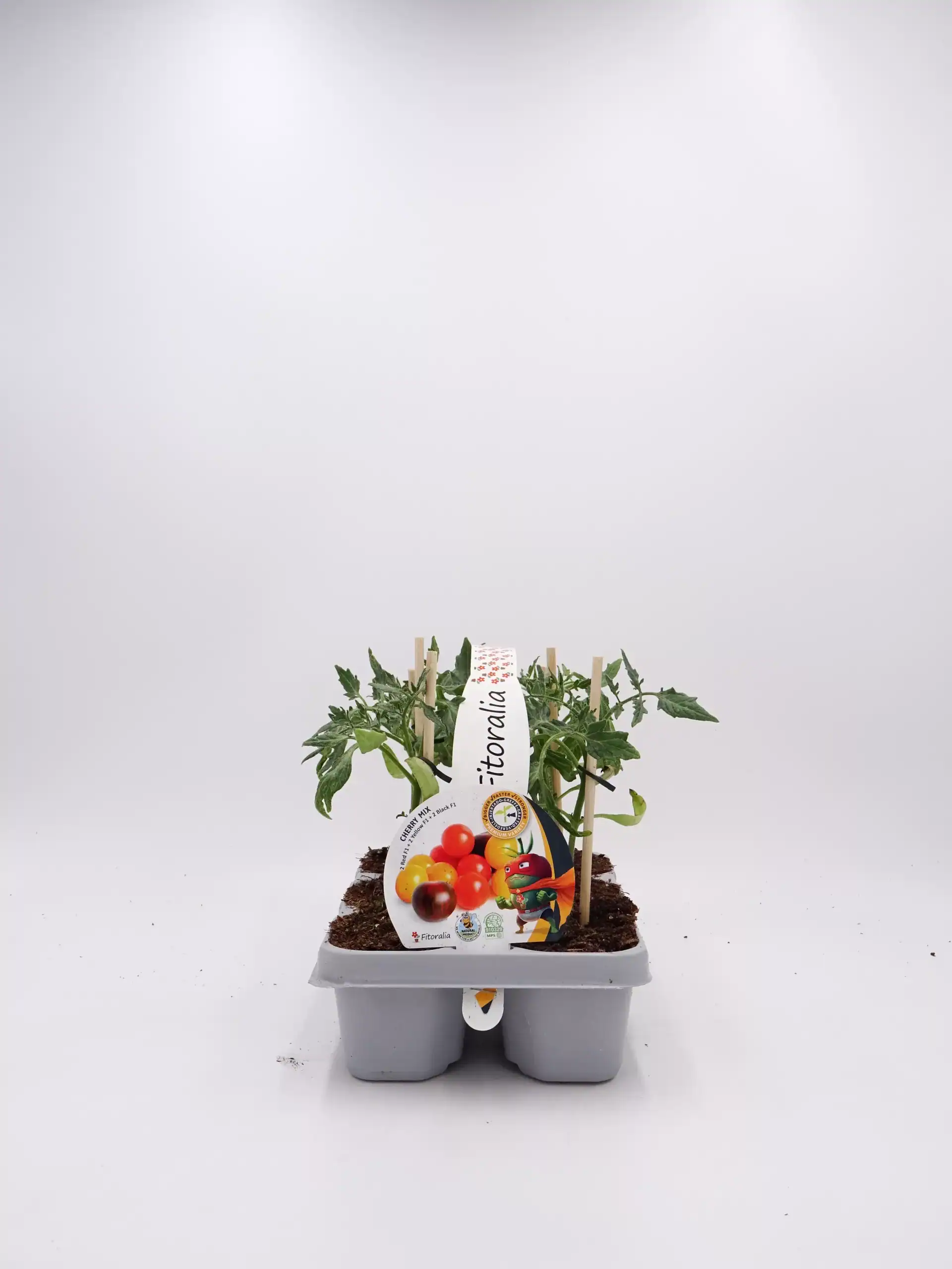 Tomatera en maceta ecológica, cultivo de tomate cherry en huerto urbano, agricultura sostenible y orgánica, semillas de calidad para huertos caseros, cultivo saludable y natural.