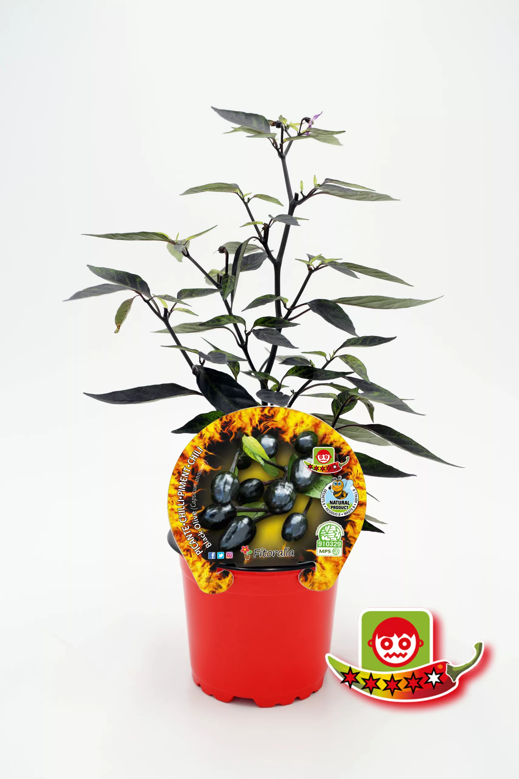 Variedad de pimientos capsaicina, plantada en maceta para cultivo ecológico y saludable en huertos urbanos y caseros.