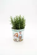 Hierbabuena en pequeña maceta con ilustración de personas cultivando, ideal para huertos ecológicos, agricultura urbana y jardinería sostenible.