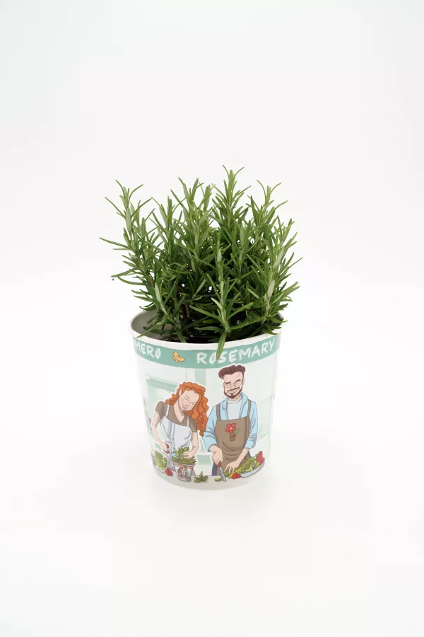 Hierbabuena en pequeña maceta con ilustración de personas cultivando, ideal para huertos ecológicos, agricultura urbana y jardinería sostenible.