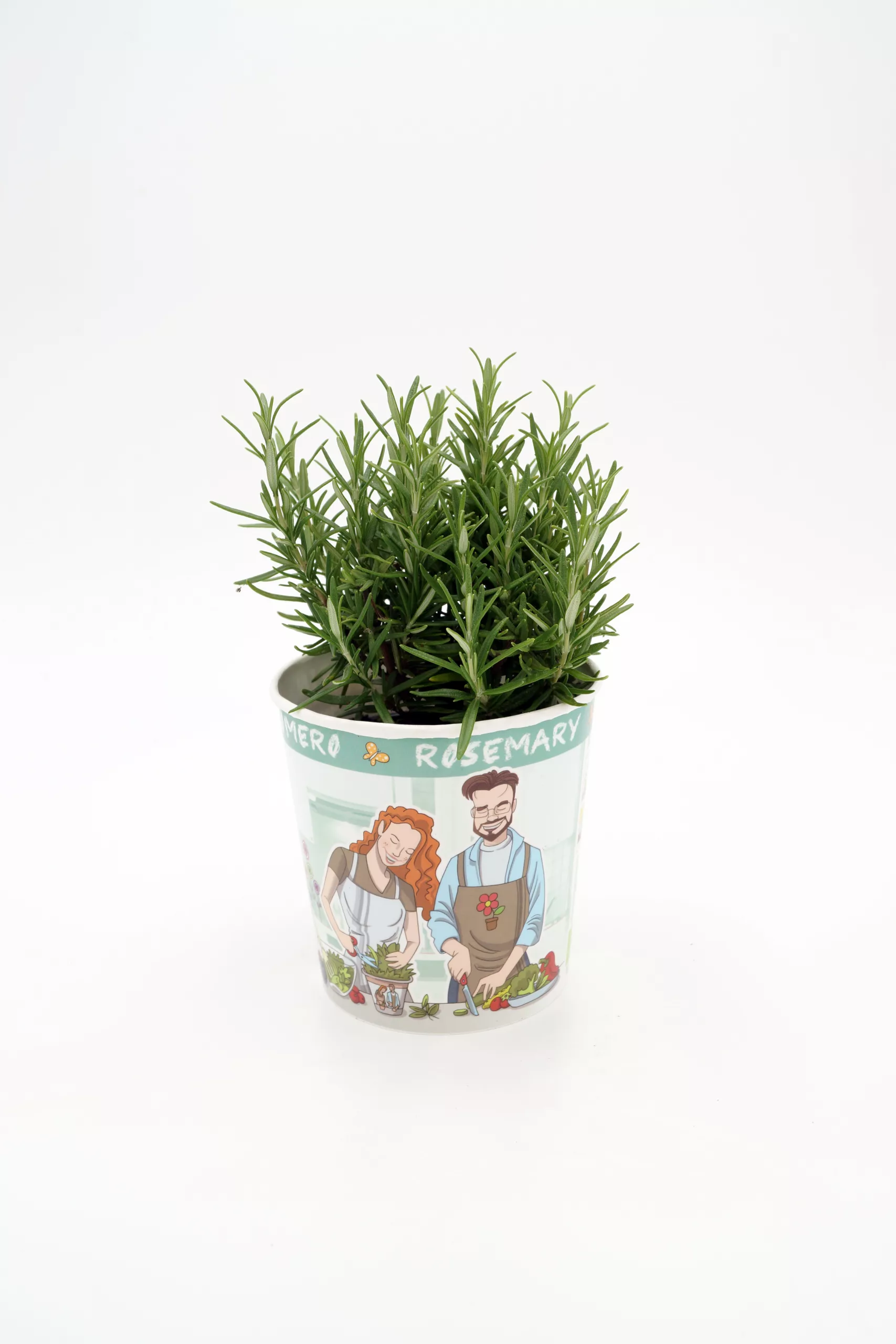 Hierbabuena en pequeña maceta con ilustración de personas cultivando, ideal para huertos ecológicos, agricultura urbana y jardinería sostenible.