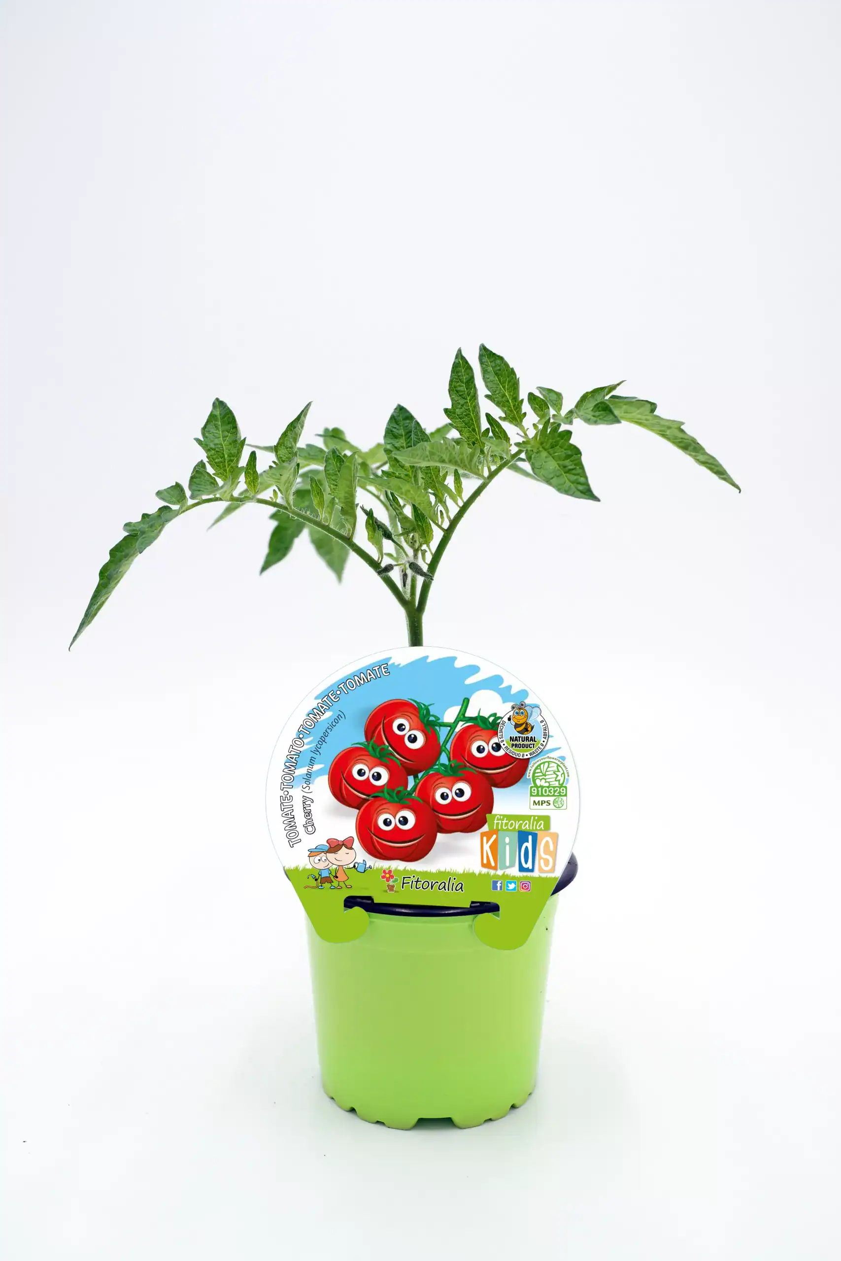 Tomate de semilla orgánico para cultivo infantil, en maceta verde con etiqueta colorida de huerto.bio y fondo blanco.