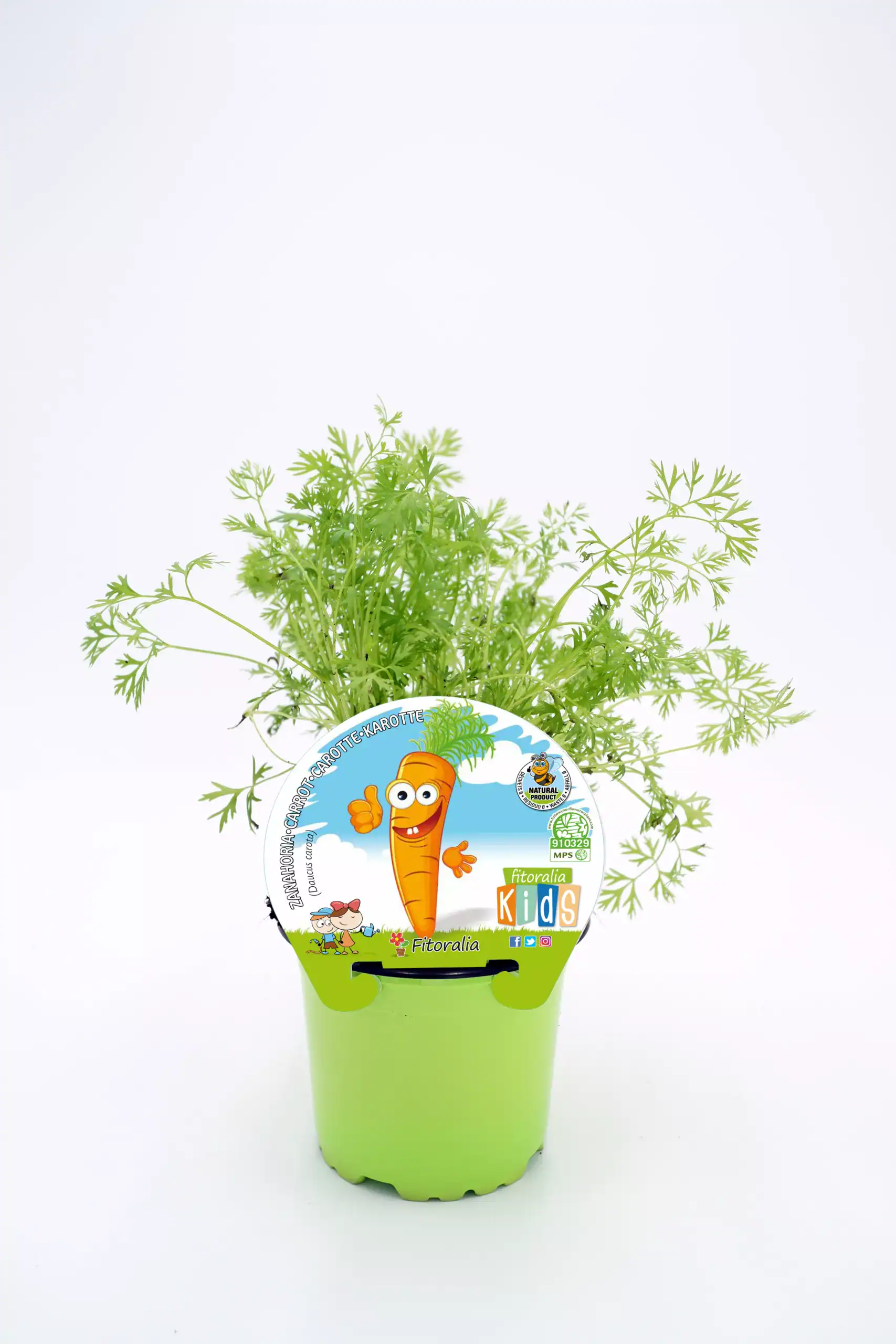 Carrot plant in a green pot with "Fitoralia Kids" label, ideal for organic vegetable gardening and children