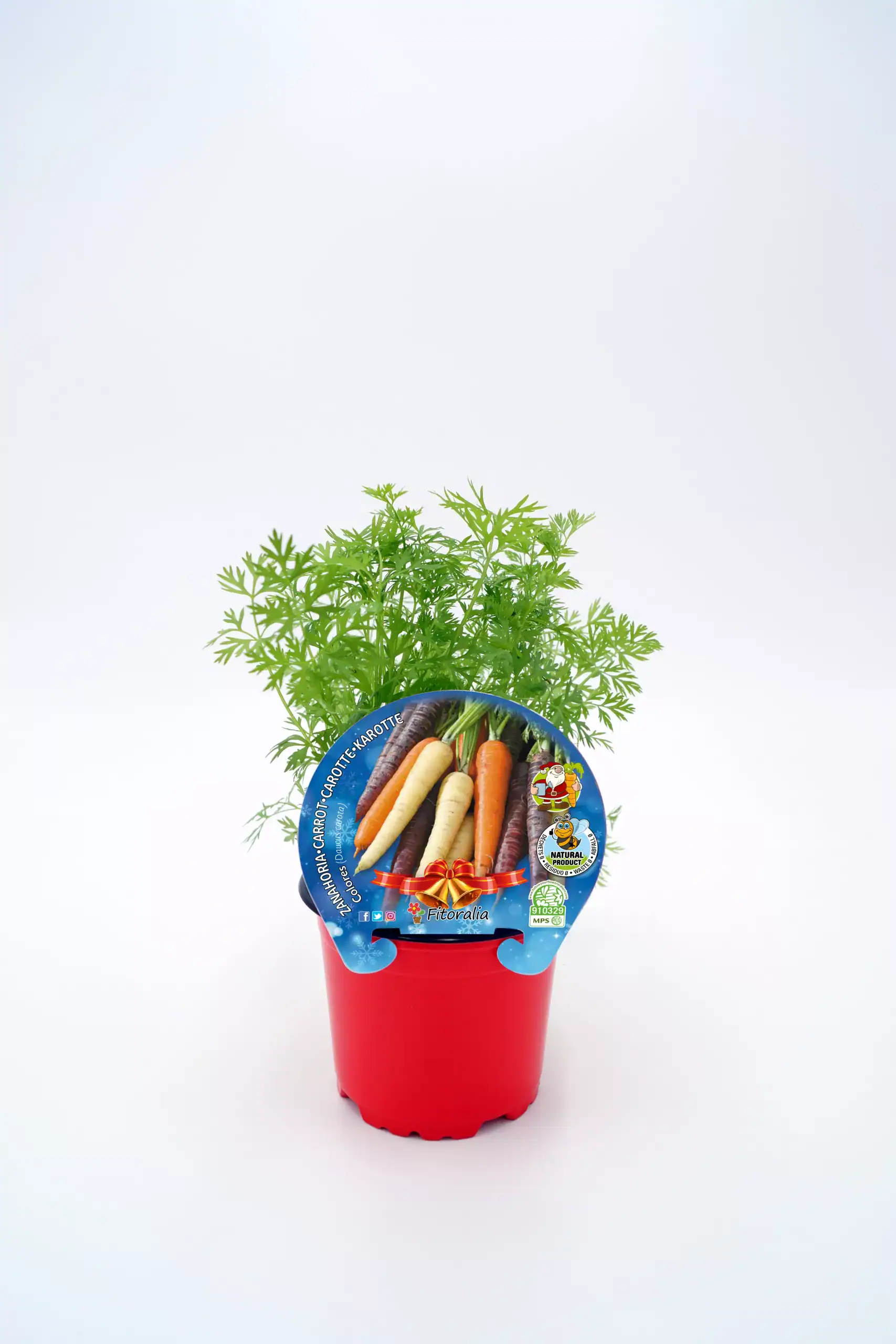 Sustrato de hortalizas ecológicas en maceta para cultivo orgánico en casa.