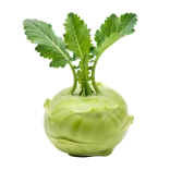 1. Calabaza kohlrabi fresca y orgánica con hojas verdes saludables, ideal para una dieta saludable y vegetariana.