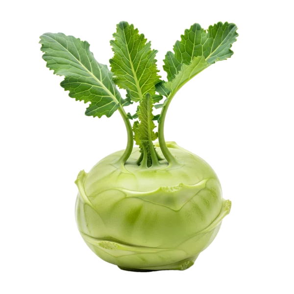 1. Calabaza kohlrabi fresca y orgánica con hojas verdes saludables, ideal para una dieta saludable y vegetariana.
