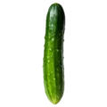 Pepino ecológico orgánico con gotas de agua, cultivo natural y saludable para una alimentación consciente y sostenible.