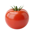 Tomate